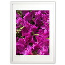 【スーパーSALE半額】版画 5月の陽光 (ソファ)インテリア 壁掛け 額入り 風景画 ポスター アート リビング 玄関に飾る 風水 プレゼント モダン アート...