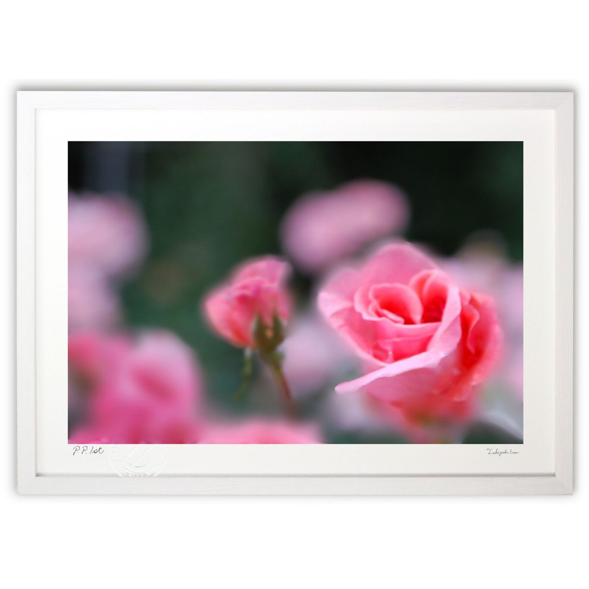 ڥѡSALEȾۡǲ Х ( )ƥꥢ ɳݤ  ʲ ݥ  ӥ ؤ˾  ץ쥼  ...