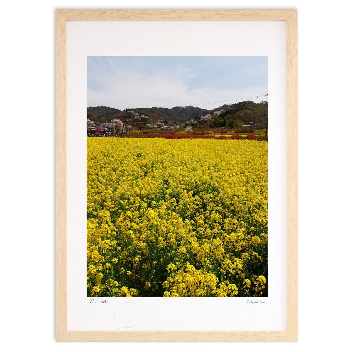 ڥѡSALEȾۡǲ դβƻ ( 󥸥祦 )ƥꥢ ɳݤ  ʲ ݥ  ӥ ؤ˾  ץ쥼...