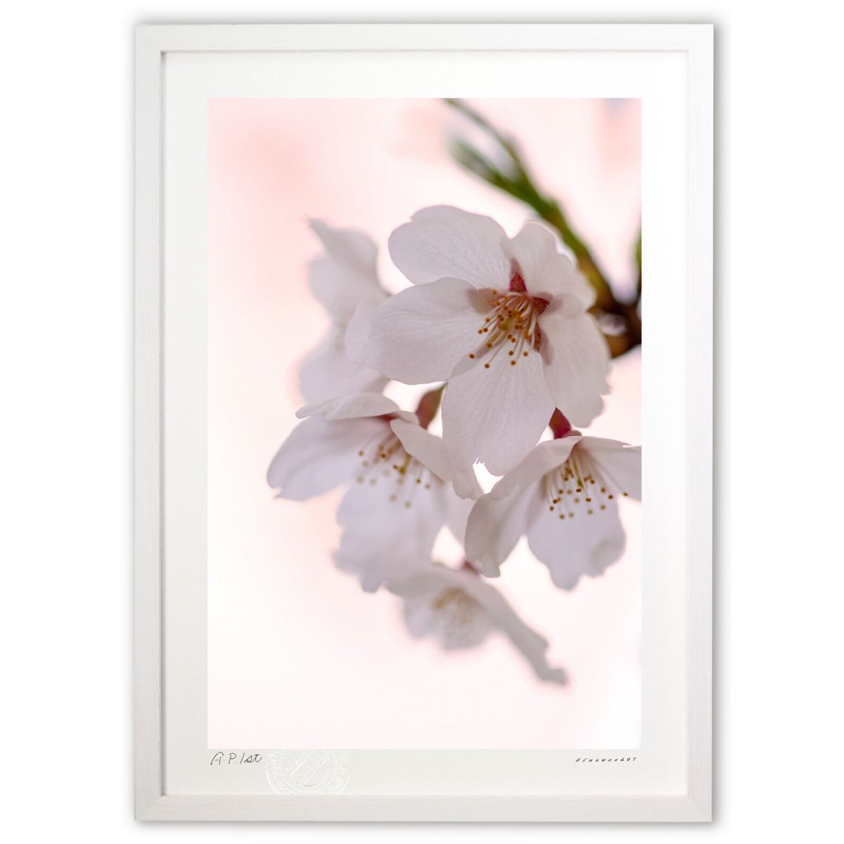 【スーパーSALE半額】版画 桃色桜花 (bluewoods07)インテリア 壁掛け 額入り 風景画 ポスター アート リビング 玄関に飾る 風水 プレゼント ...