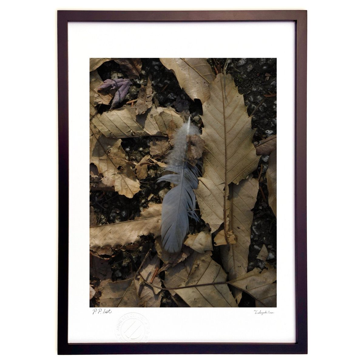 【スーパーSALE半額】版画 鳥の落とし物 (mebuki)インテリア 壁掛け 額入り 風景画 ポスター アート リビング 玄関に飾る 風水 プレゼント モダン...