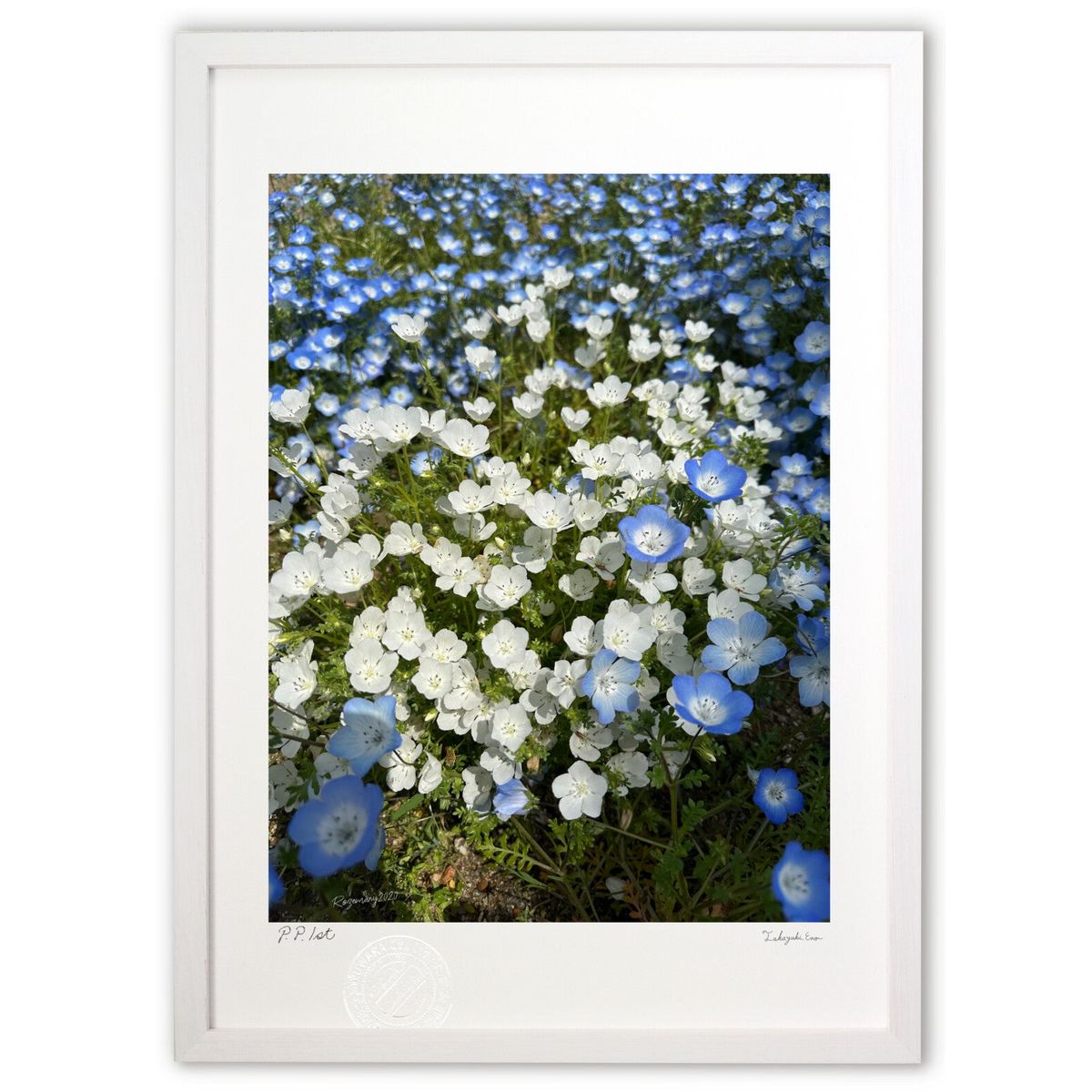 ڥѡSALEȾۡǲ ֤ε (Rozemary)ƥꥢ ɳݤ  ʲ ݥ  ӥ ؤ˾  ץ쥼 ...