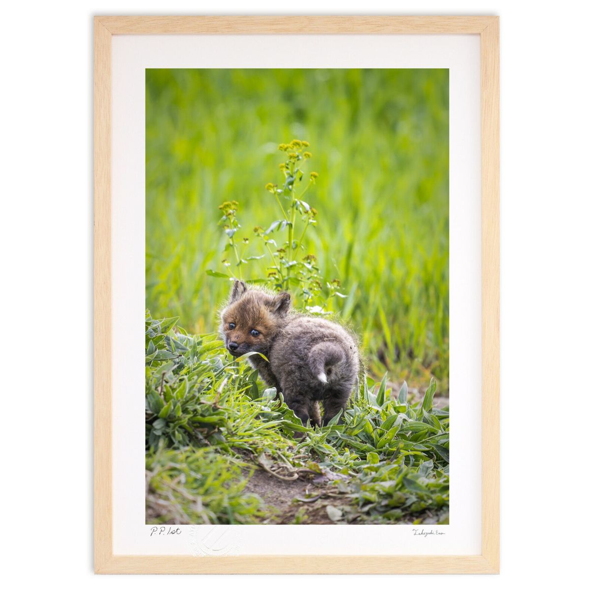 【スーパーSALE半額】版画 天使の子ギツネ(縦) (Tak(Takuya Takahashi))