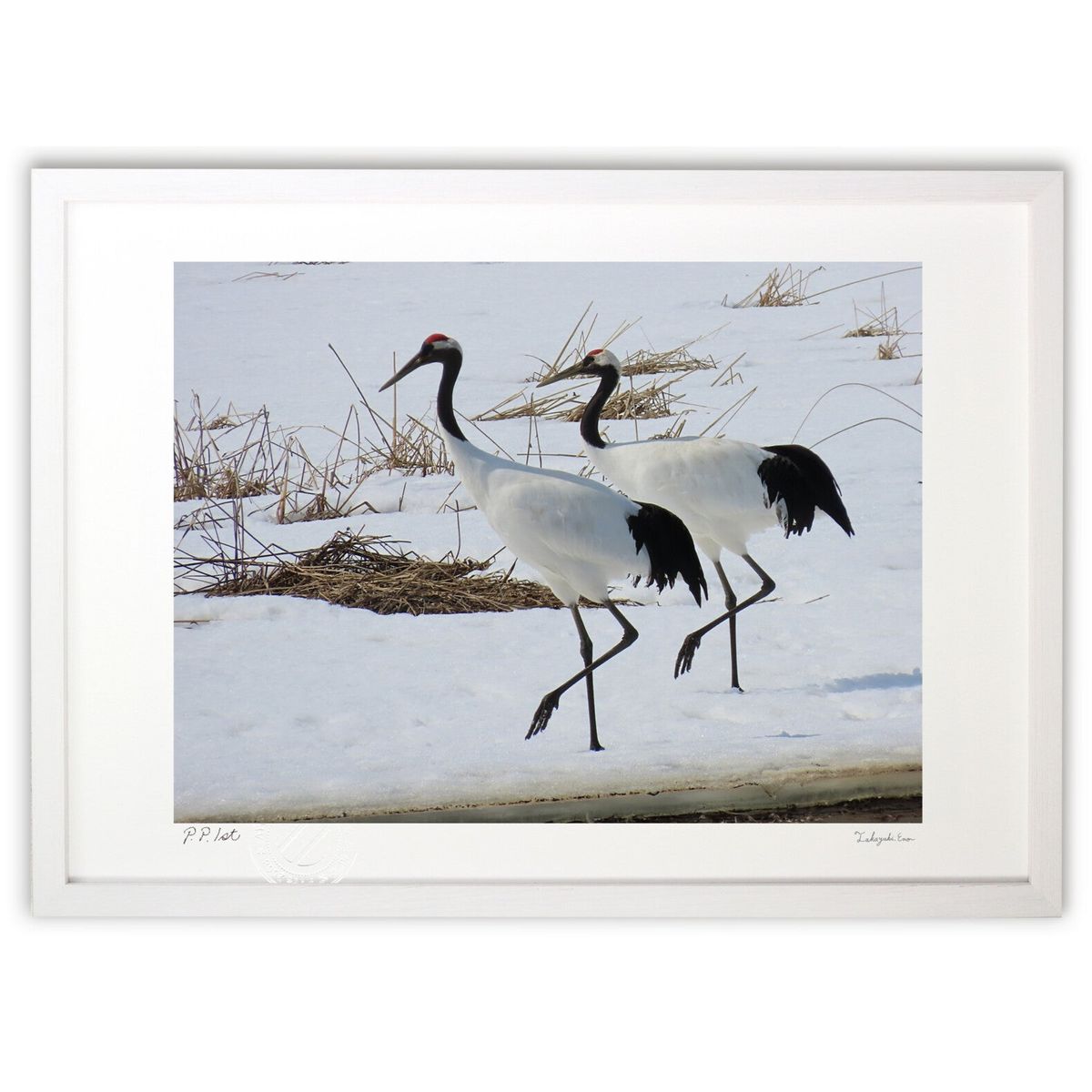 ڥѡSALEȾۡǲ 祦 (RUI)ƥꥢ ɳݤ  ʲ ݥ  ӥ ؤ˾  ץ쥼  ...