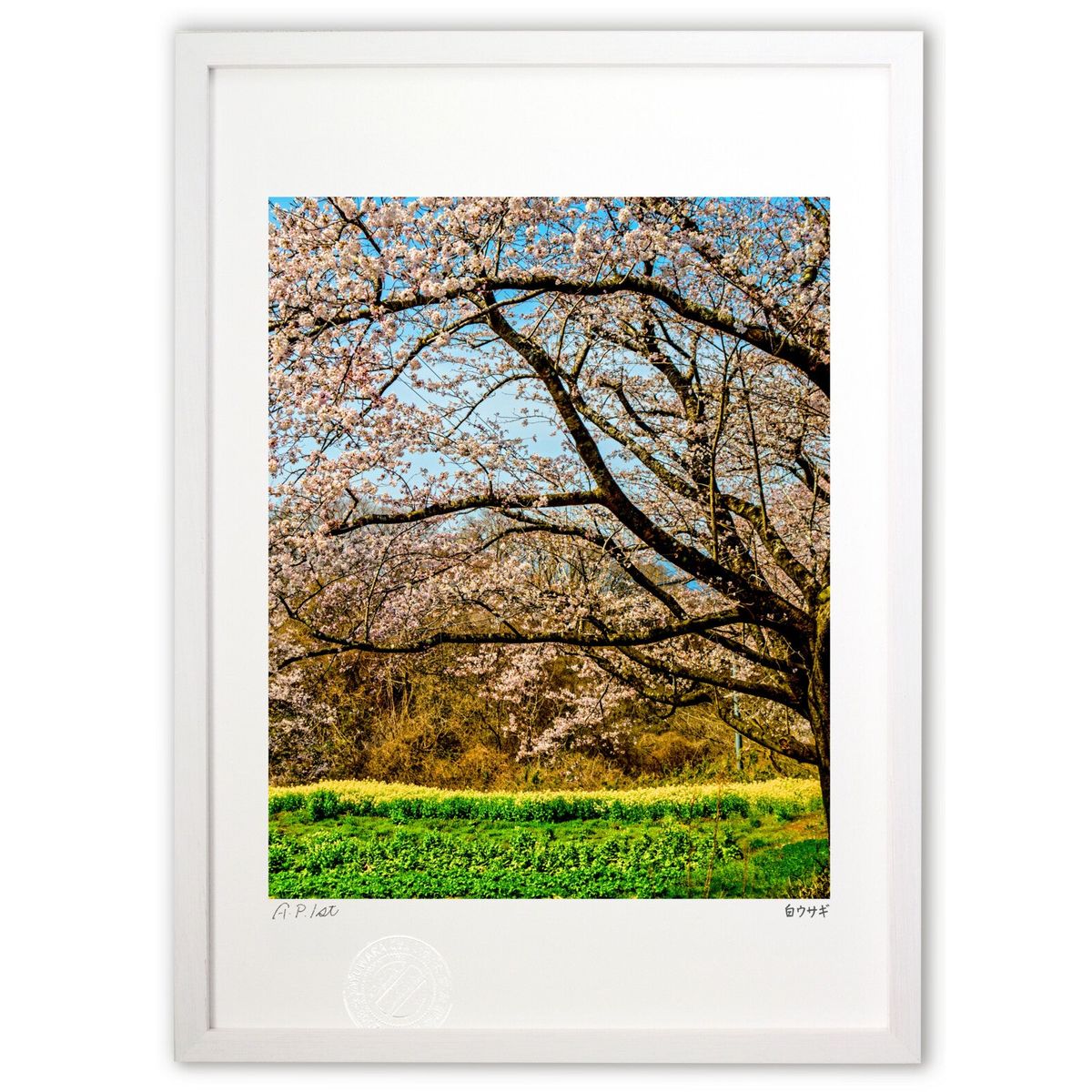 ڥѡSALEȾۡǲ ۽ (򥦥)ƥꥢ ɳݤ  ʲ ݥ  ӥ ؤ˾  ץ쥼  ȥե...