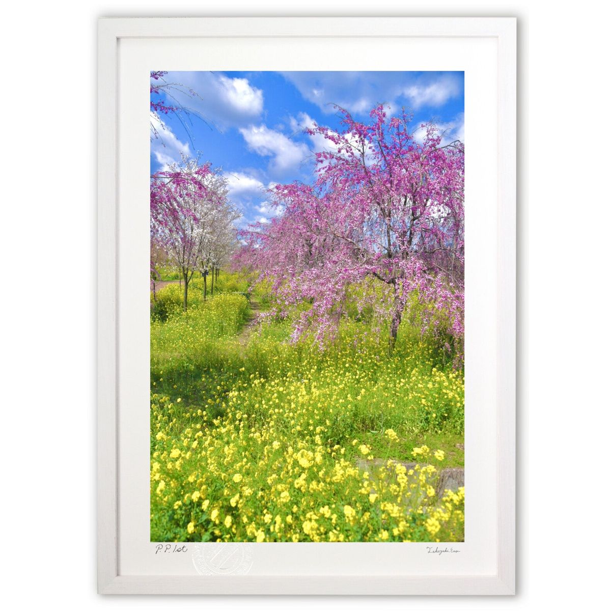 【スーパーSALE半額】版画 菜の花とさくら (mitan)インテリア 壁掛け 額入り 風景画 ポスター アート リビング 玄関に飾る 風水 プレゼント モダン...