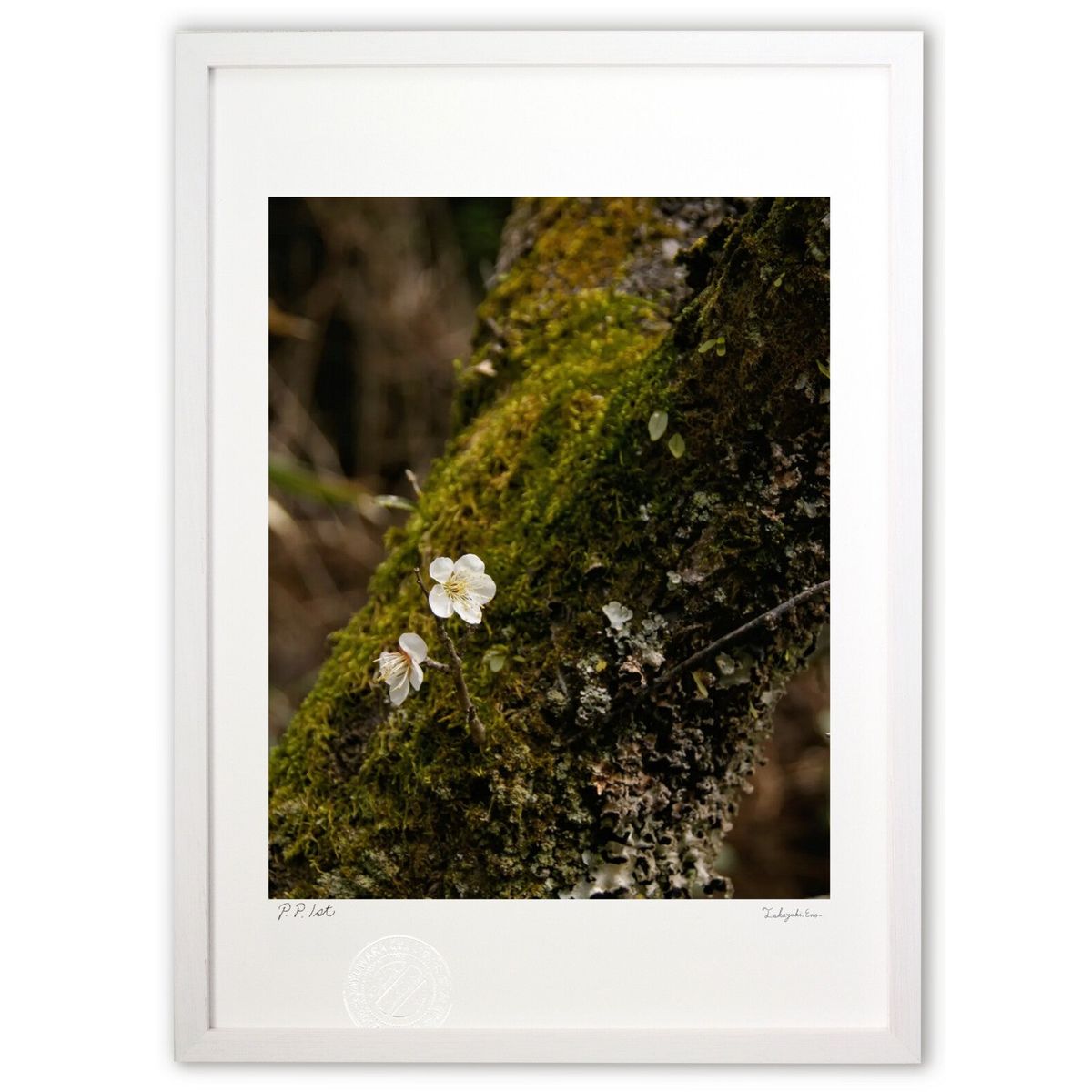 【スーパーSALE半額】版画 春に咲く (Agura)インテリア 壁掛け 額入り 風景画 ポスター アート リビング 玄関に飾る 風水 プレゼント モダン アー...