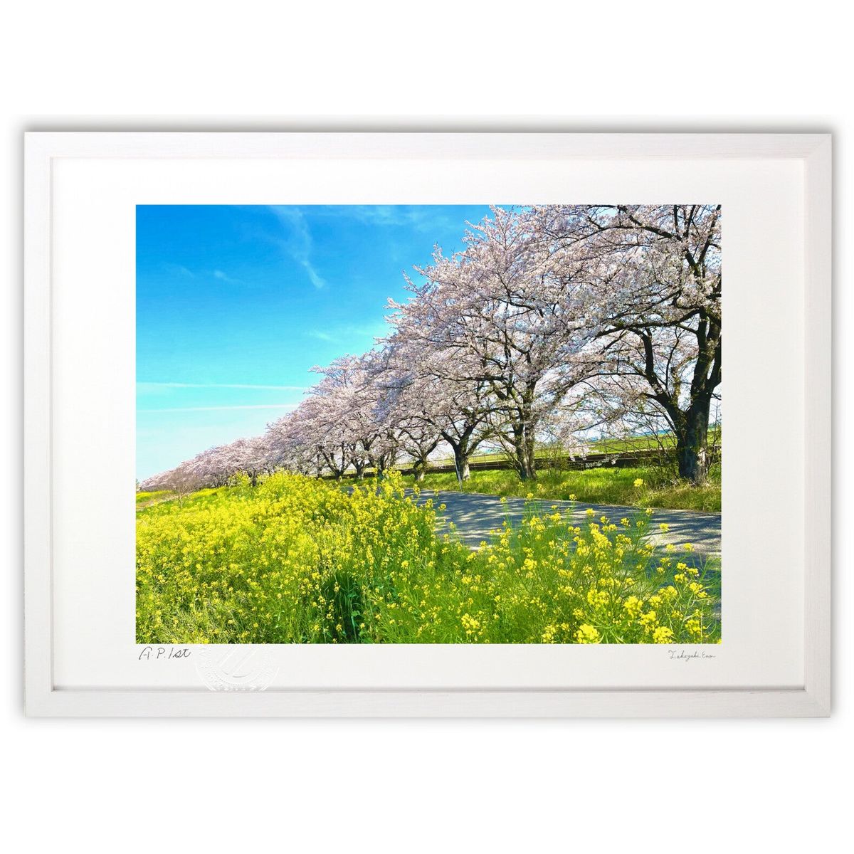 ڥѡSALEȾۡǲ  (ܹ)ƥꥢ ɳݤ  ʲ ݥ  ӥ ؤ˾  ץ쥼  ...