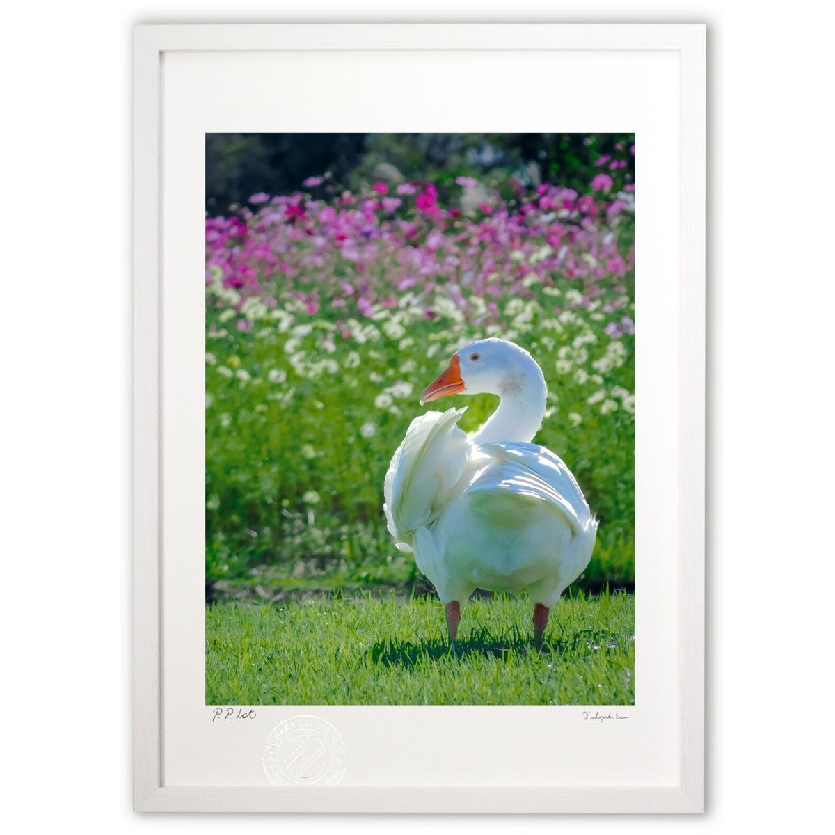 版画 わたしキレイ? (crazetaka)インテリア 壁掛け 額入り 風景画 ポスター アート リビング 玄関に飾る 風水 プレゼント モダン アートフレーム