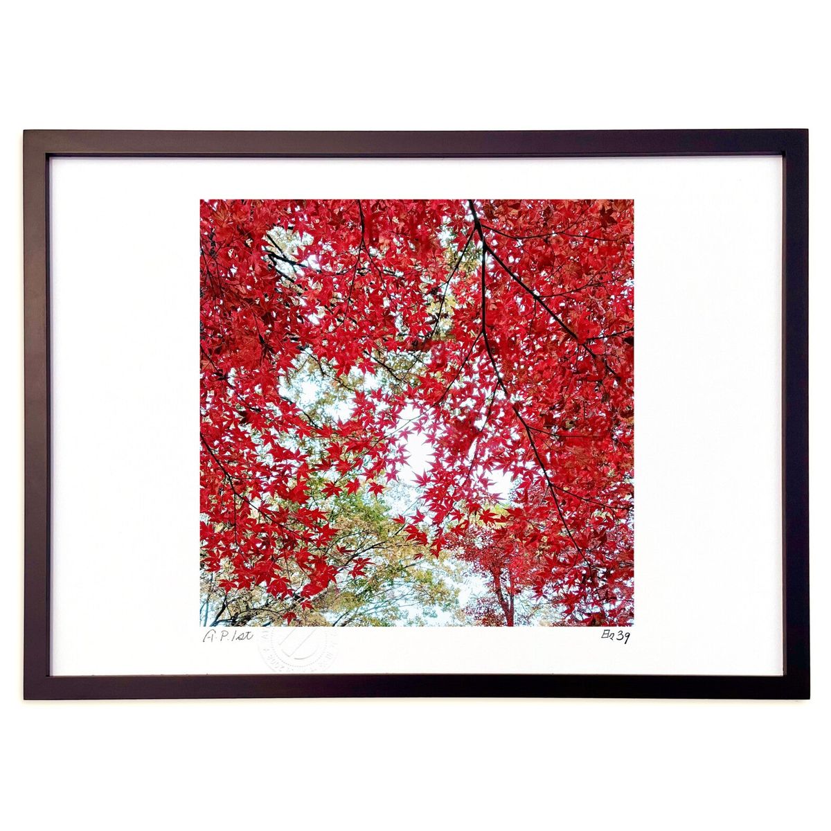 ǲ ̿夲褦 (39(Ҥ 󤭤夦))