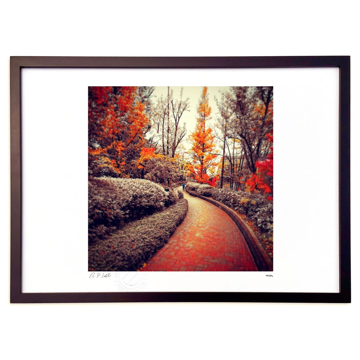 ǲ ʤΤߤ (Old'sGallery)