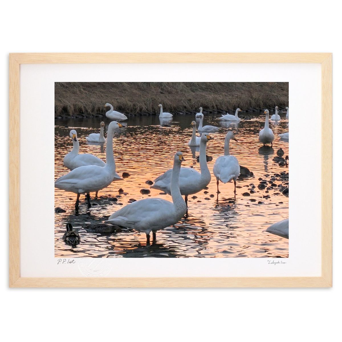 ǲ 򤤷 (ŷפޤ󤸤夦)ƥꥢ ɳݤ  ʲ ݥ  ӥ ؤ˾  ץ쥼  ȥե졼