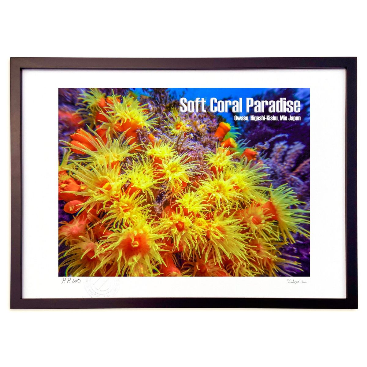 版画 Soft Coral Paradise (Little Dinosaur)