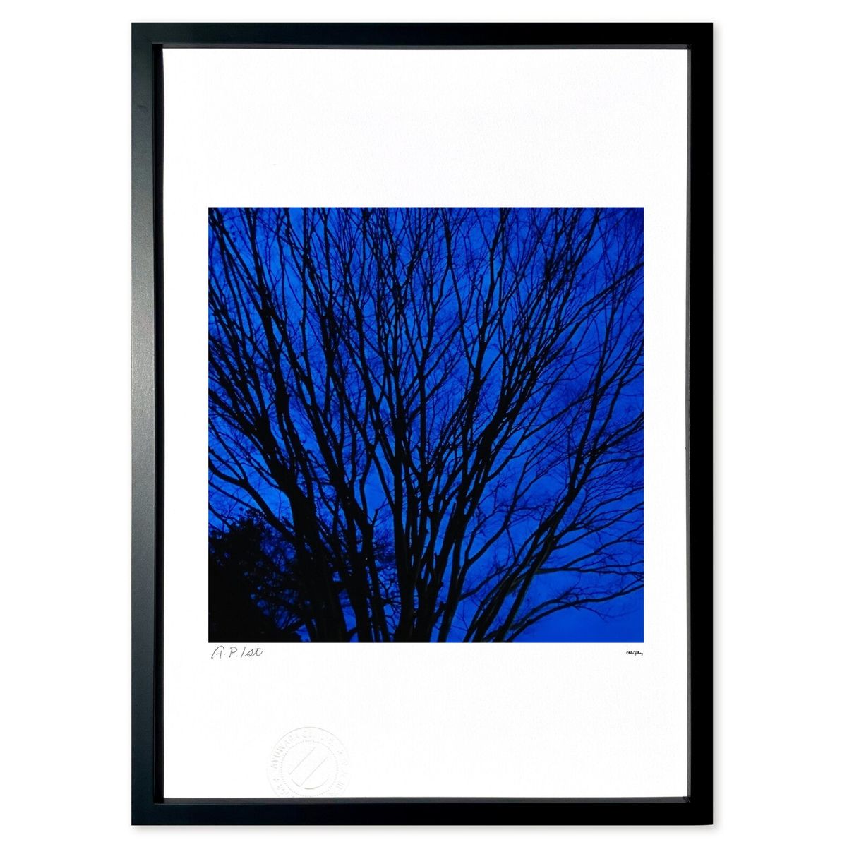 版画 うみうちわの夜 (Old'sGallery)