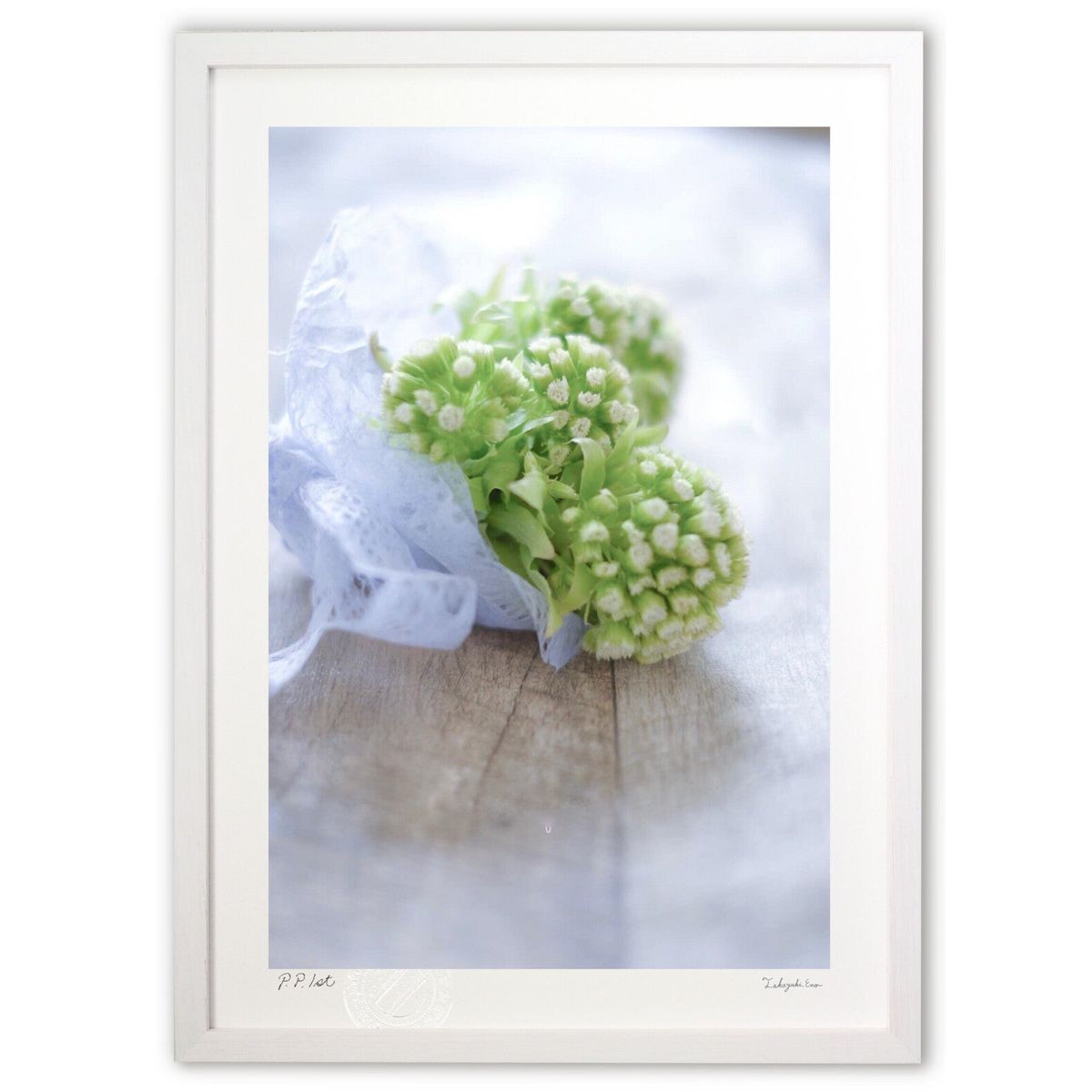 ǲ տbouquet (ΤϤ)ƥꥢ ɳݤ  ʲ ݥ  ӥ ؤ˾  ץ쥼  ȥե졼