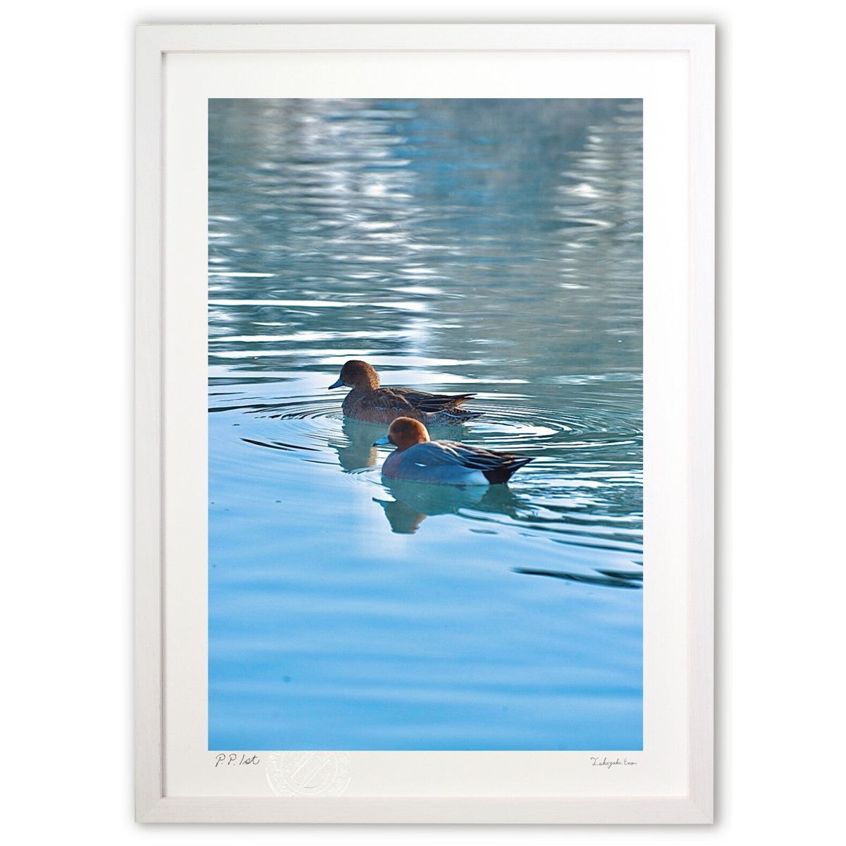 ǲ Ļ2 (mitan)ƥꥢ ɳݤ  ʲ ݥ  ӥ ؤ˾  ץ쥼  ȥե졼