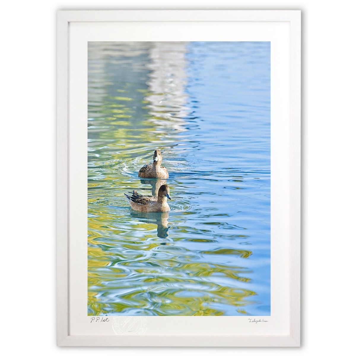 ǲ Ļ (mitan)ƥꥢ ɳݤ  ʲ ݥ  ӥ ؤ˾  ץ쥼  ȥե졼