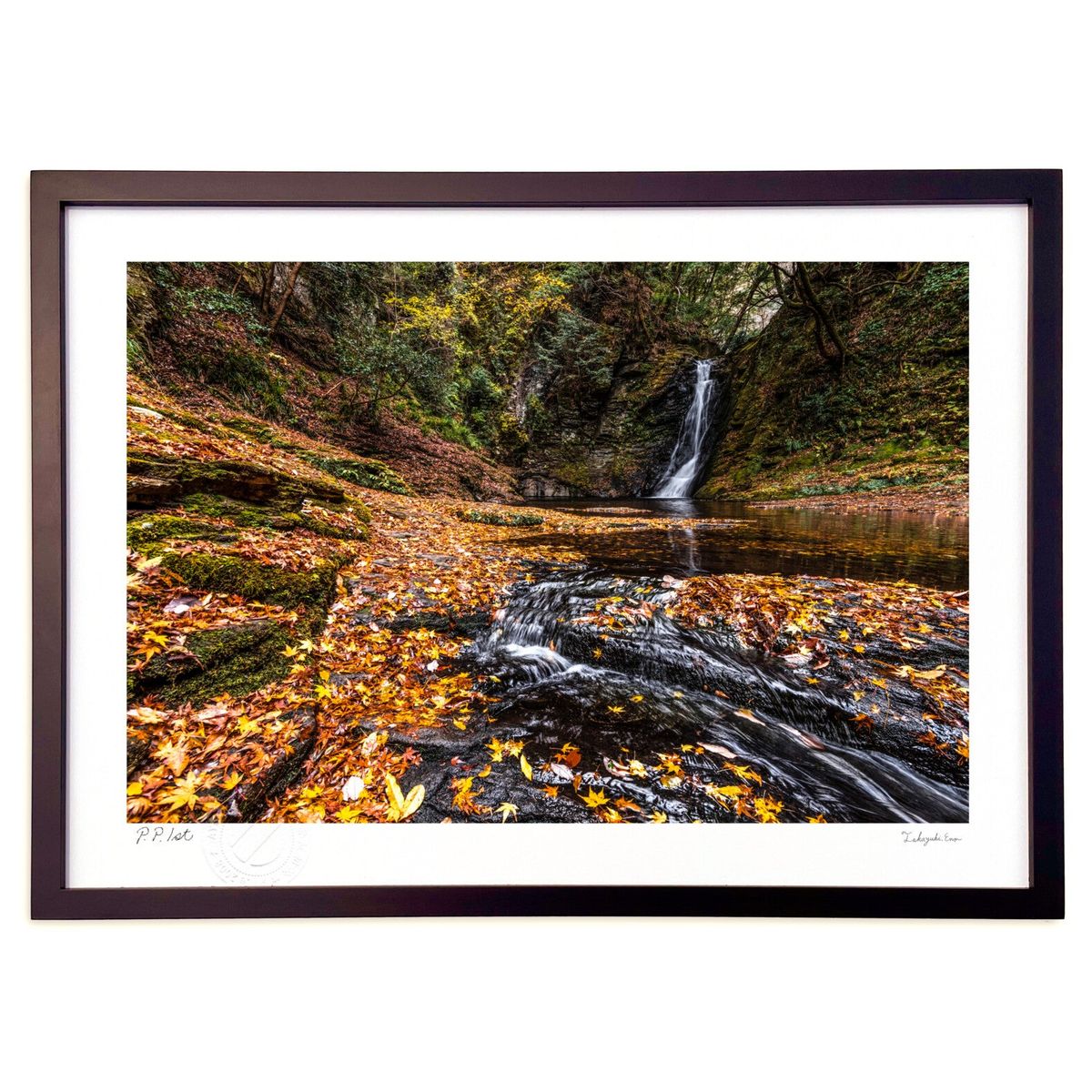 ǲ ̿դȷή() (Little Dinosaur)