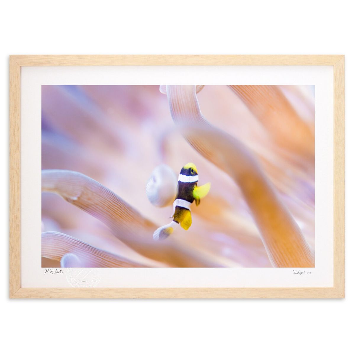 ǲ ̿աޥΥߤĵŸ (Little Dinosaur)