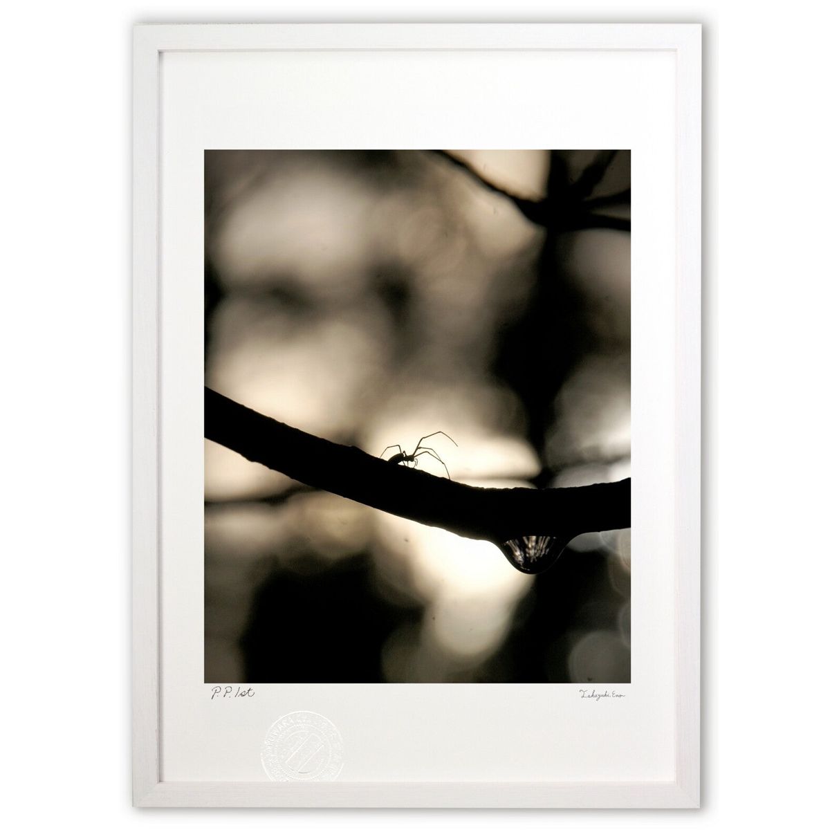 ǲ νͤȵո (Agura)ƥꥢ ɳݤ  ʲ ݥ  ӥ ؤ˾  ץ쥼  ȥե졼