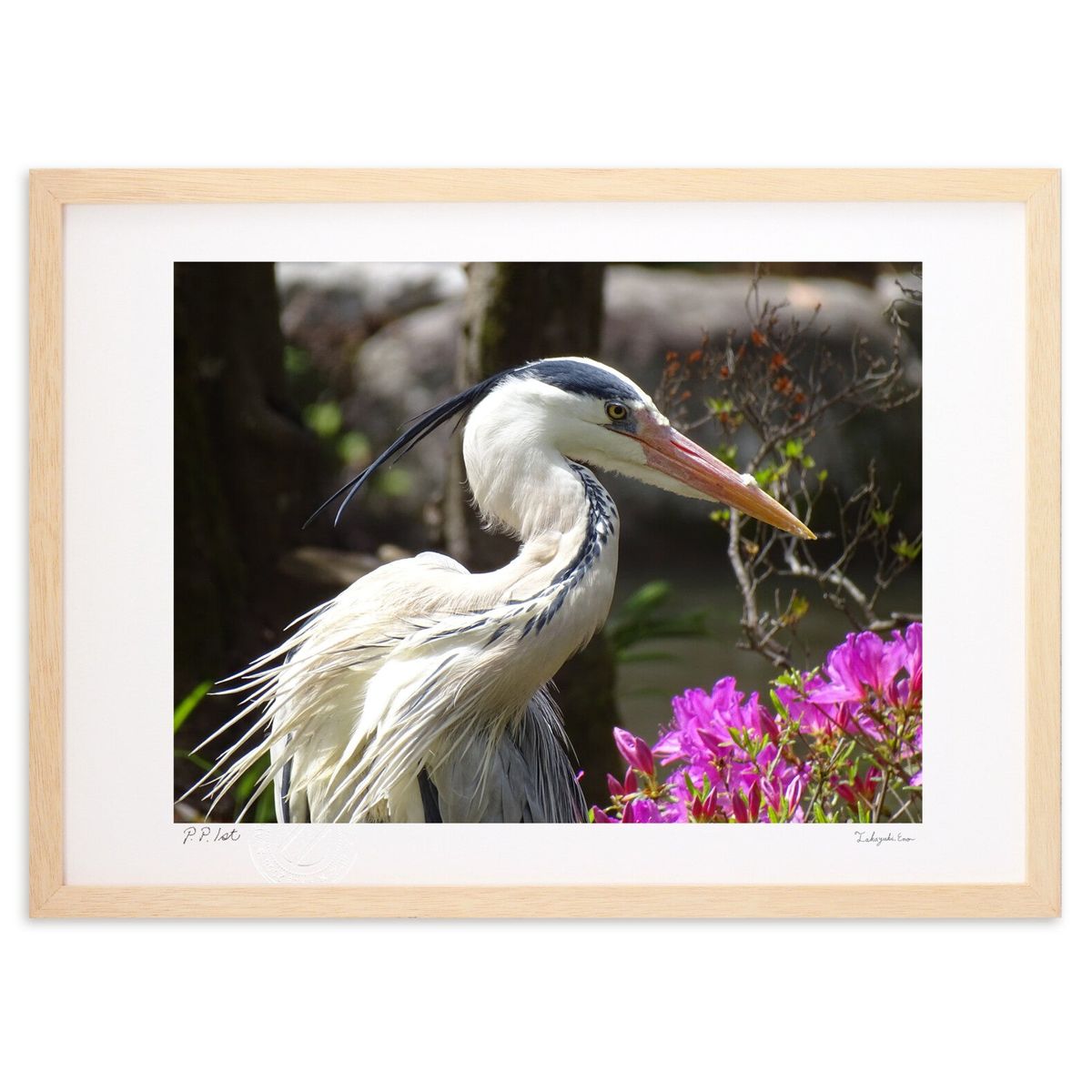 �ǲ� ����٤�륢������ (��˼�ʬ�����ʽ�ƻ�� ���� ���դ�����)