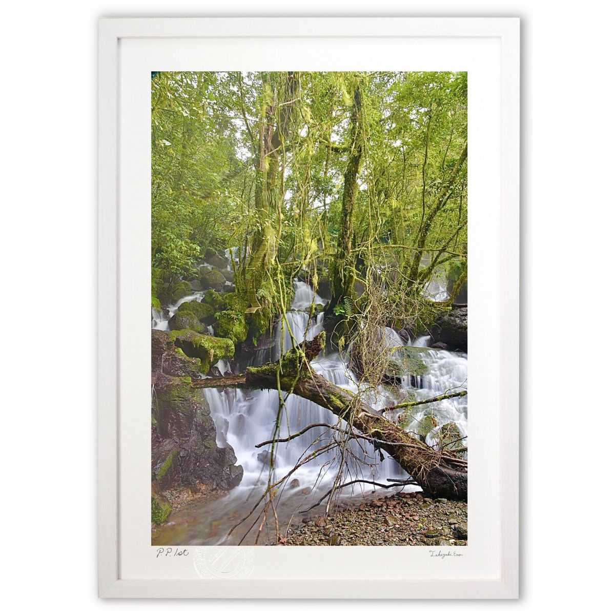 �ǲ� �磻��ɤ��� (mitan)����ƥꥢ �ɳݤ� ������ ���ʲ� �ݥ����� ������ ��ӥ� ���ؤ˾��� ���� �ץ쥼��� ����� �����ȥե졼��