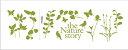 ウォールステッカー Nature story Bird ミニウォールステッカー/インテリア 壁掛け 額入り 額装込 風景画 油絵 ポスター アート アートパネル リビング 玄関 プレゼント モダン アートフレーム おしゃれ 飾る Sサイズ