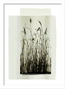 最大100%ポイントバック!限定抽選 絵画 VERBEEK & VAN DEN BROEK GARDEN PRAIRIE I(ガーデン プレーリー1)/インテリ...