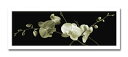最大100%ポイントバック!限定抽選 アートフォト 絵画 Jk driggs Orchid Sprays(オーキッド スプレイ)/インテリア 額入り 額装込 風...