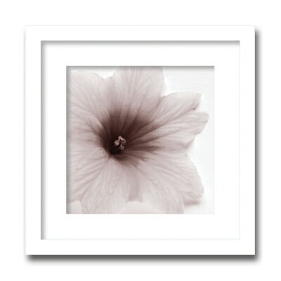 アートフレーム Jk driggs Blossom[Three](ブロッサム/花)/インテリア 額入り 額装込 風景画 油絵 ポスター アート アートパネル リビング 玄関 プレゼント モダン アートフレーム 飾る Lサイズ おしゃれ 壁掛け 絵