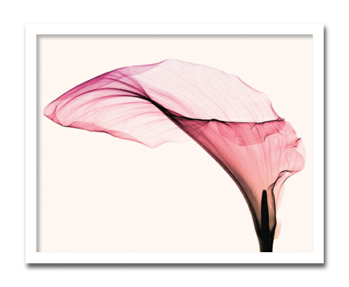 【スーパーSALE10%OFF】レントゲンアート 絵画 ジャイアント カラー/インテリア 額入り 額装込 風景画 油絵 ポスター アート アートパネル リビング...