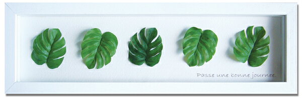 【スーパーSALE10%OFF】アートフレーム ゆうパケット モンステラ/インテリア 額入り 額装込 風景画 油絵 ポスター アート アートパネル リビング 玄...