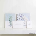 キャンバスパネル ボタニカルシリーズ 5枚セット 3Lサイズ シンプル インテリア アート 入門 絵画 おしゃれ 壁掛け 絵