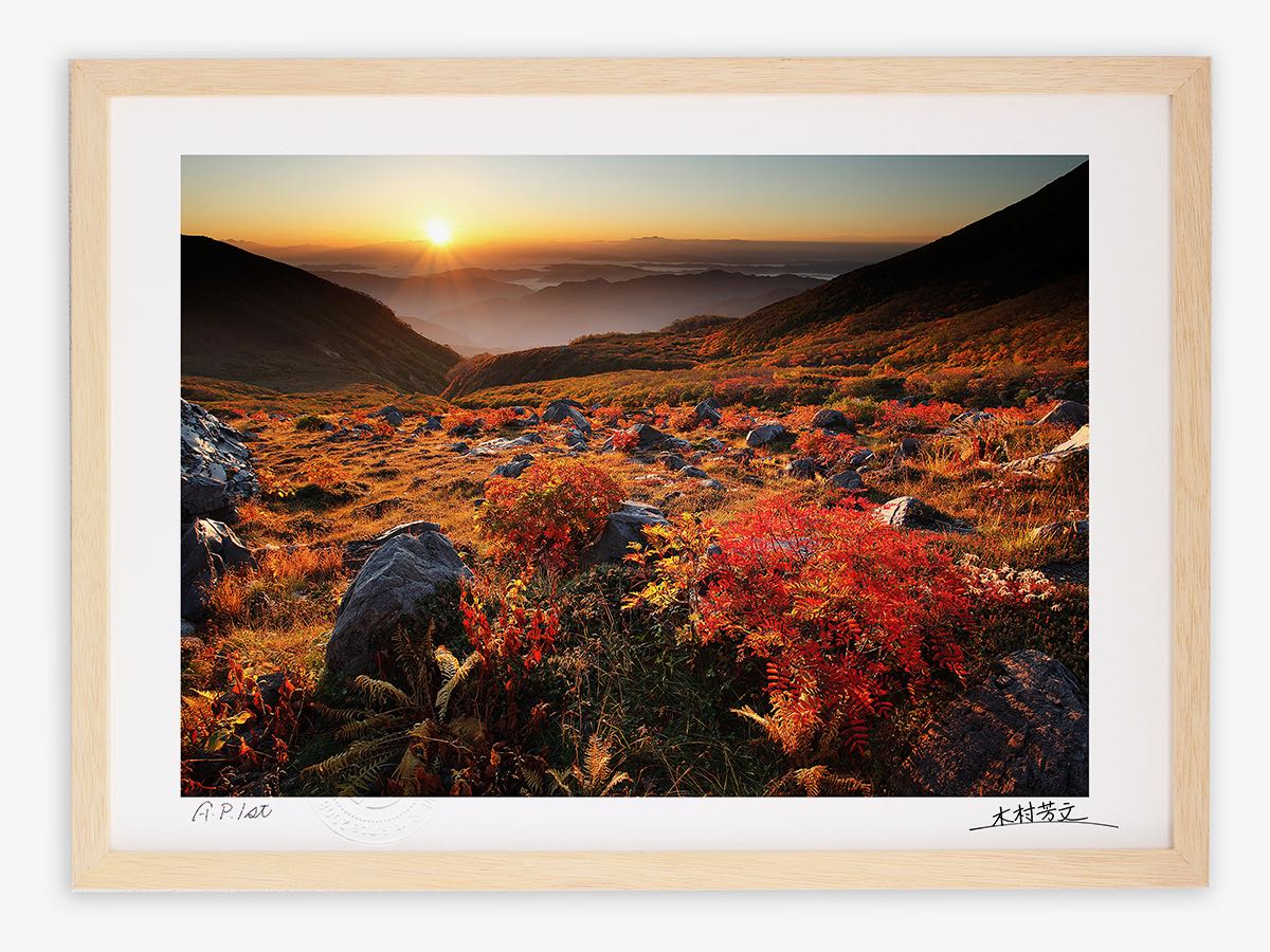 【スーパーSALE半額】アートフォト 絵画 壁掛け 高山の夜明けと紅葉したナナカマド/白山/インテリア 壁掛け 額入り 額装込 風景画 油絵 ポスター アート ...