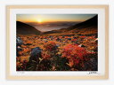 最大100%ポイントバック!限定抽選 アートフォト 絵画 壁掛け 高山の夜明けと紅葉したナナカマド/白山/インテリア 壁掛け 額入り 額装込 風景画 油絵 ポス...
