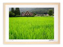 最大100%ポイントバック!限定抽選 アートフォト 絵画 壁掛け 世界遺産白川郷・かん町/岐阜県白川郷/インテリア 壁掛け 額入り 額装込 風景画 油絵 ポスタ...