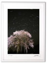最大100%ポイントバック!限定抽選 アートフォト 絵画 壁掛け 荘川桜と流れる星1/岐阜県御母衣湖畔/インテリア 壁掛け 額入り 額装込 風景画 油絵 ポスタ...