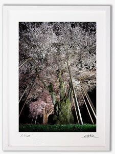 アートフォト 絵画 壁掛け ライトアップされた荘川桜2/岐阜県御母衣湖畔/インテリア 壁掛け 額入り 額装込 風景画 油絵 ポスター アート アートパネル リビング 玄関 プレゼント モダン アートフレーム おしゃれ 飾る