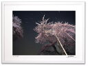 最大100%ポイントバック!限定抽選 アートフォト 絵画 壁掛け 荘川桜と流れる星2/岐阜県御母衣湖畔/インテリア 壁掛け 額入り 額装込 風景画 油絵 ポスタ...