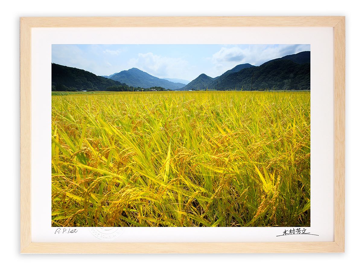 【スーパーSALE半額】アートフォト 絵画 壁掛け 秋の風/白山市/インテリア 壁掛け 額入り 額装込 風景画 油絵 ポスター アート アートパネル リビング ...