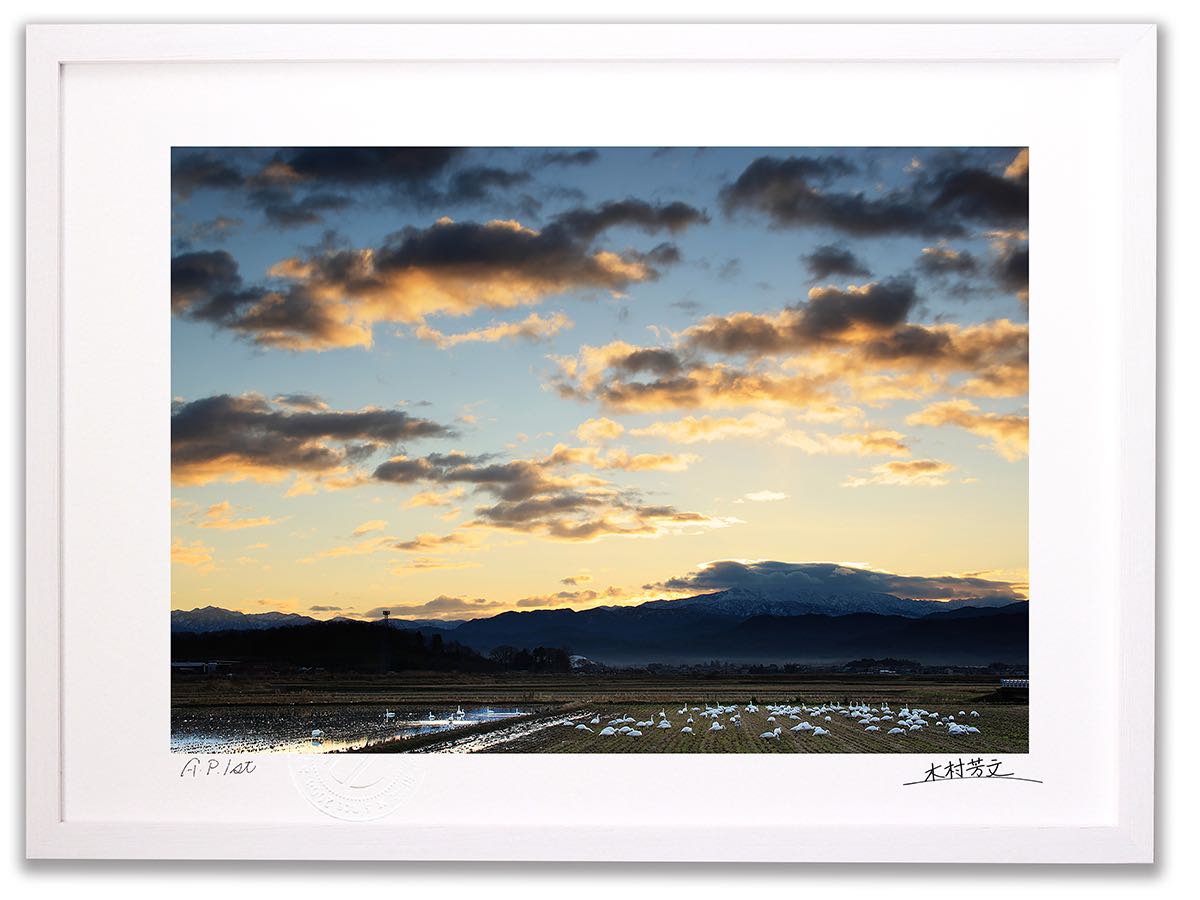 【スーパーSALE半額】アートフォト 絵画 壁掛け 白鳥の風景3/加賀市/インテリア 壁掛け 額入り 額装込 風景画 油絵 ポスター アート アートパネル リビ...