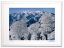 【抽選ポイント100%バック】アートフォト 絵画 壁掛け ブナの樹氷と白山/白山/インテリア 壁掛け 額入り 額装込 風景画 油絵 ポスター アート アートパネ...