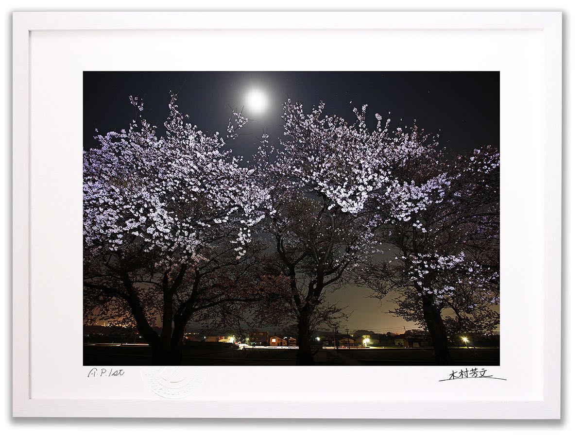 【スーパーSALE半額】アートフォト 絵画 壁掛け 夜桜1/能美市/インテリア 壁掛け 額入り 額装込 風景画 油絵 ポスター アート アートパネル リビング ...