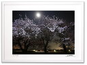 最大100%ポイントバック!限定抽選 アートフォト 絵画 壁掛け 夜桜1/能美市/インテリア 壁掛け 額入り 額装込 風景画 油絵 ポスター アート アートパネ...