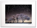 アートフォト 絵画 壁掛け 夜桜2/能美市/インテリア 壁掛け 額入り 額装込 風景画 油絵 ポスター アート アートパネル リビング 玄関 プレゼント モダン アートフレーム おしゃれ 飾る
