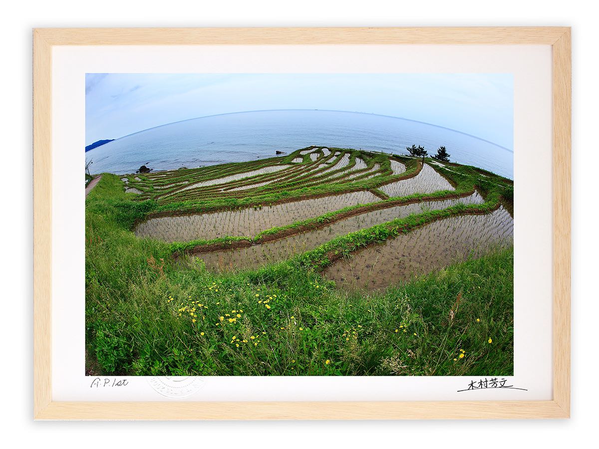 アートフォト 絵画 壁掛け 世界農業遺産 白米の千枚田/輪島市/インテリア 壁掛け 額入り 額装込 風景画 油絵 ポスター アート アートパネル リビング 玄関 プレゼント モダン アートフレーム おしゃれ 飾る Mサイズ