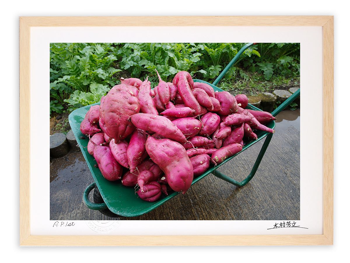 【スーパーSALE半額】アートフォト 絵画 壁掛け サツマイモ/白山市/インテリア 壁掛け 額入り 額装込 風景画 油絵 ポスター アート アートパネル リビン...