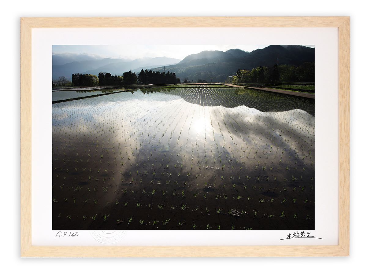 【スーパーSALE半額】アートフォト 絵画 壁掛け 田植え後/白山市/インテリア 壁掛け 額入り 額装込 風景画 油絵 ポスター アート アートパネル リビング...