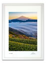 最大100%ポイントバック!限定抽選 版画 絵画 茶畑と赤富士雲海 富士山 インテリア 額入り 額装込 風景画 油絵 ポスター アート アートパネル リビング ...