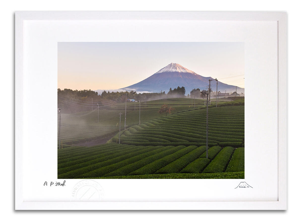 【スーパーSALE半額】版画 絵画 朝霧の茶畑富士 富士山 インテリア 額入り 額装込 風景画 油絵 ポスター アート アートパネル リビング 玄関 プレゼント...